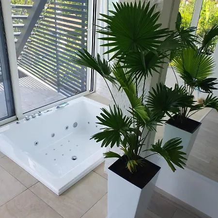 Penthouse Jacuzzi & Pool Luxury